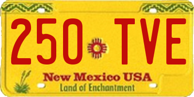 NM license plate 250TVE