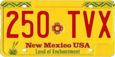 NM license plate 250TVX