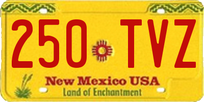 NM license plate 250TVZ