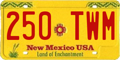NM license plate 250TWM