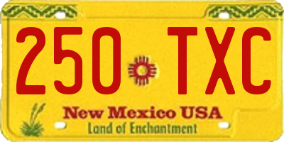 NM license plate 250TXC