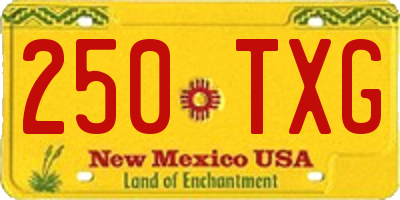 NM license plate 250TXG