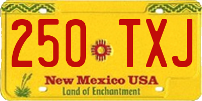 NM license plate 250TXJ