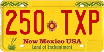 NM license plate 250TXP