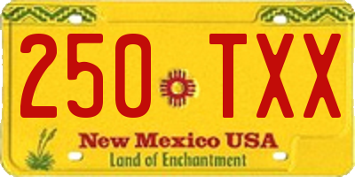 NM license plate 250TXX