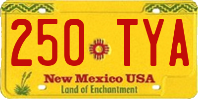 NM license plate 250TYA
