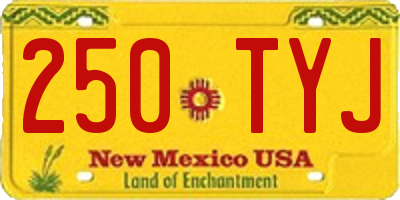 NM license plate 250TYJ