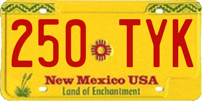 NM license plate 250TYK