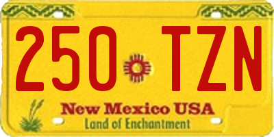 NM license plate 250TZN
