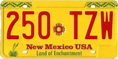 NM license plate 250TZW