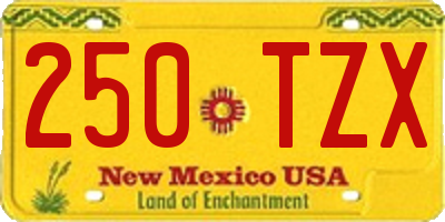 NM license plate 250TZX