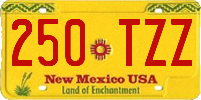 NM license plate 250TZZ