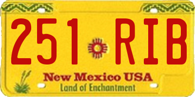 NM license plate 251RIB
