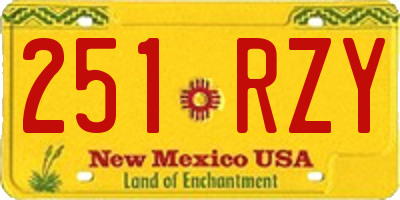 NM license plate 251RZY