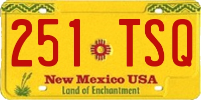 NM license plate 251TSQ