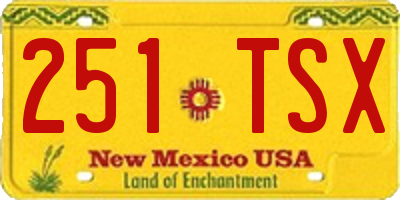 NM license plate 251TSX