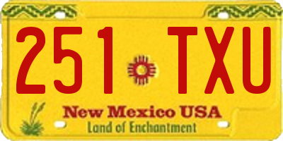 NM license plate 251TXU