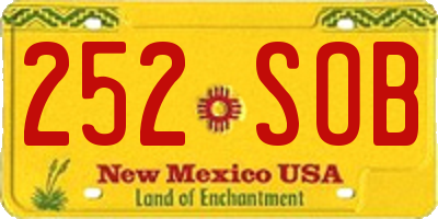 NM license plate 252SOB