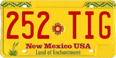 NM license plate 252TIG