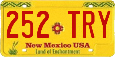 NM license plate 252TRY