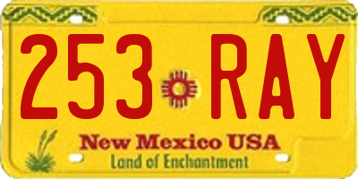 NM license plate 253RAY