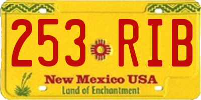 NM license plate 253RIB
