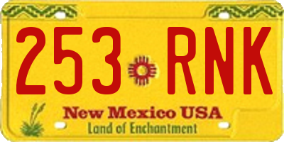 NM license plate 253RNK