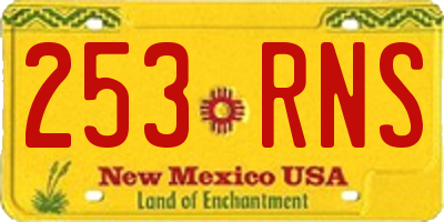 NM license plate 253RNS