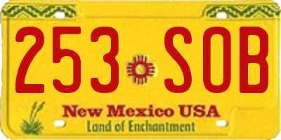 NM license plate 253SOB