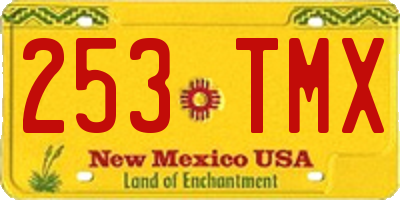 NM license plate 253TMX