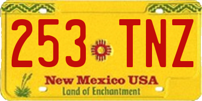 NM license plate 253TNZ