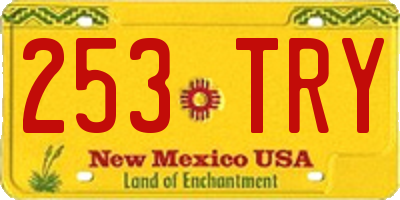 NM license plate 253TRY
