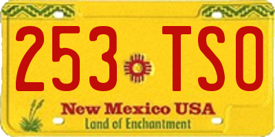 NM license plate 253TSO