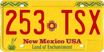 NM license plate 253TSX