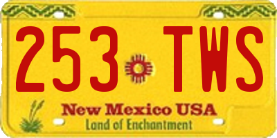 NM license plate 253TWS