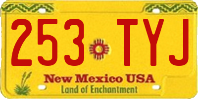 NM license plate 253TYJ