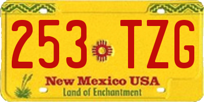 NM license plate 253TZG