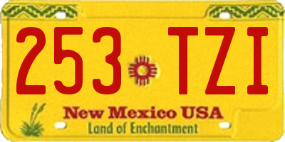 NM license plate 253TZI
