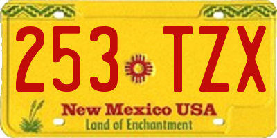 NM license plate 253TZX