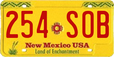 NM license plate 254SOB