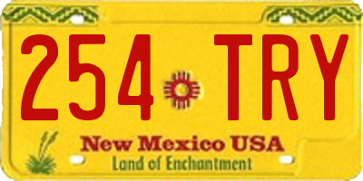 NM license plate 254TRY