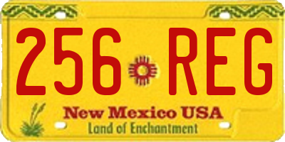 NM license plate 256REG
