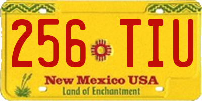NM license plate 256TIU