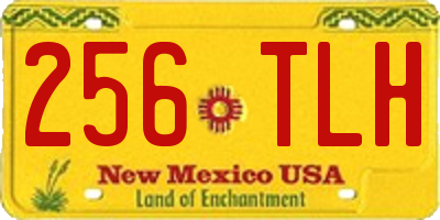 NM license plate 256TLH