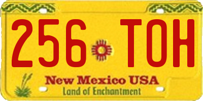 NM license plate 256TOH