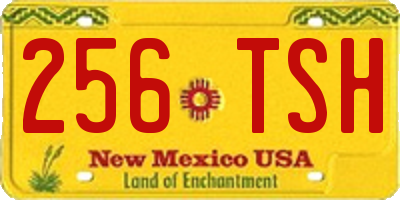 NM license plate 256TSH