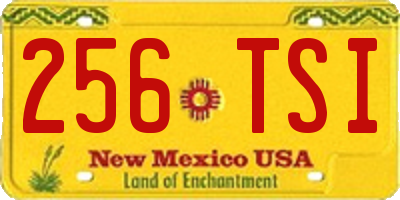 NM license plate 256TSI