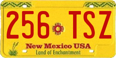NM license plate 256TSZ