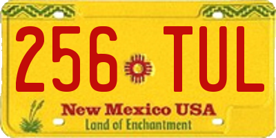 NM license plate 256TUL