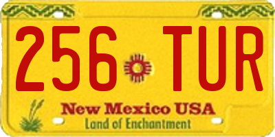 NM license plate 256TUR